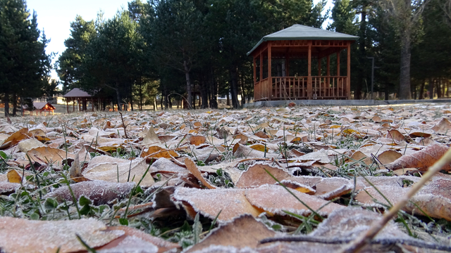 Kars'ta soğuk hava ve kırağı etkili oldu