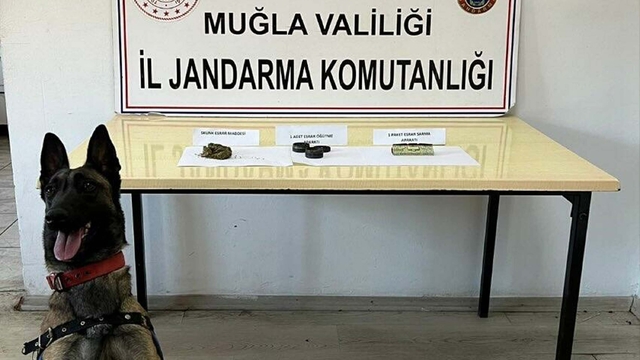 Muğla'da uyuşturucu operasyonlarında 6 gözaltı