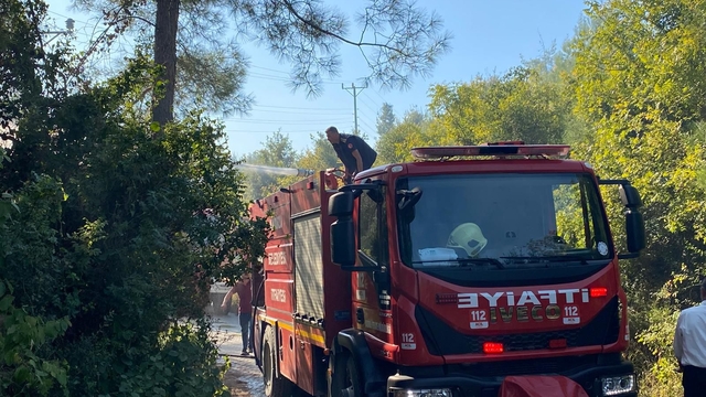 Osmaniye'de orman yangını (2)