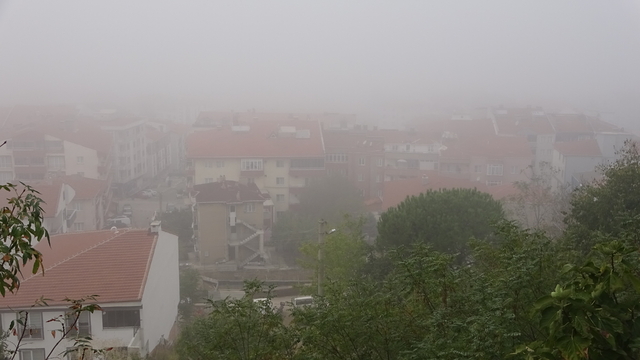 Edirne'de yoğun sis; binalar gözden kayboldu