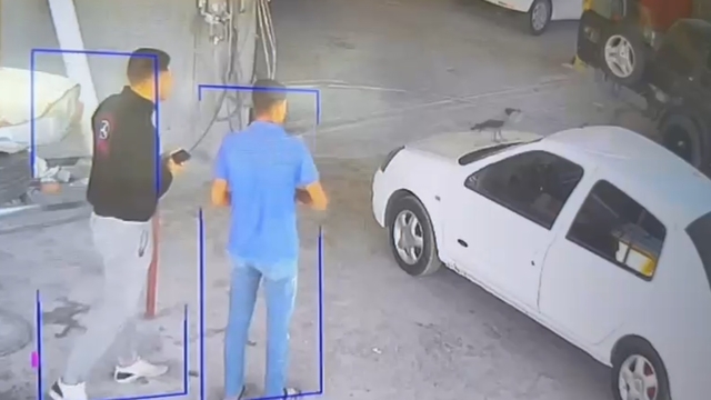 Otomobile konan karga, kaputtaki anahtarı aldı