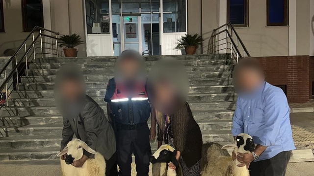 Osmaniye'de küçükbaş hayvan çaldıkları iddia edilen 3 şüpheli yakalandı