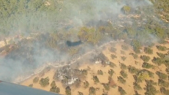 İzmir'de orman yangını