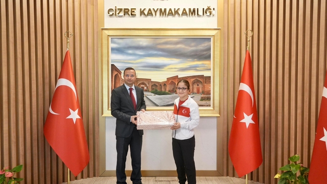 Cizre Kaymakamı Baycar'dan Avrupa şampiyonu milli boksör Yalgettekin'e ödül