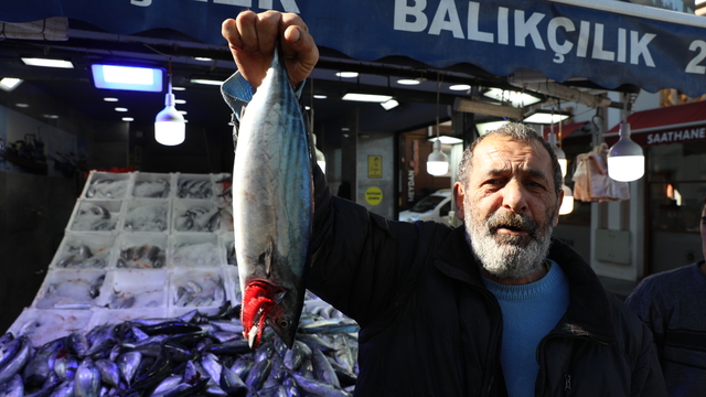 Karadeniz'de yağlanan ve büyüyen palamut yüz güldürdü