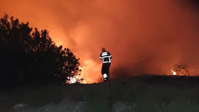 Antakya'da çıkan orman yangını söndürüldü
