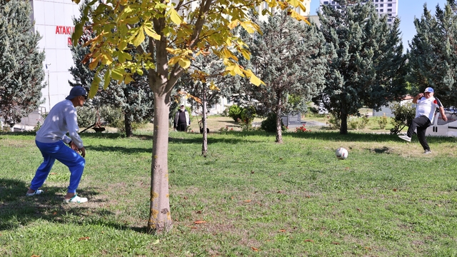 Galeri