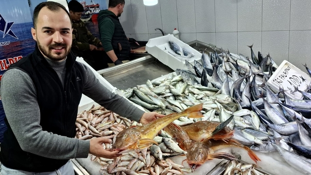 Sinop'ta avlanan kırlangıç balıkları kilogramı 300 liradan satılıyor