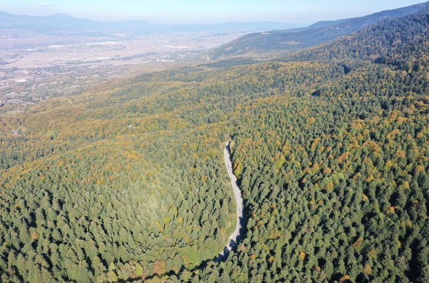 Gölcük Tabiat Parkı ve çevresi hazan mevsiminin renkleriyle süslendi 