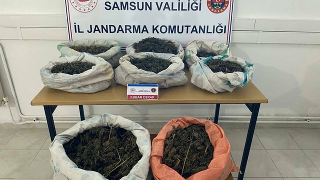 Samsun'da ormanlık alana gizlenmiş 8 kilo 525 gram esrar bulundu