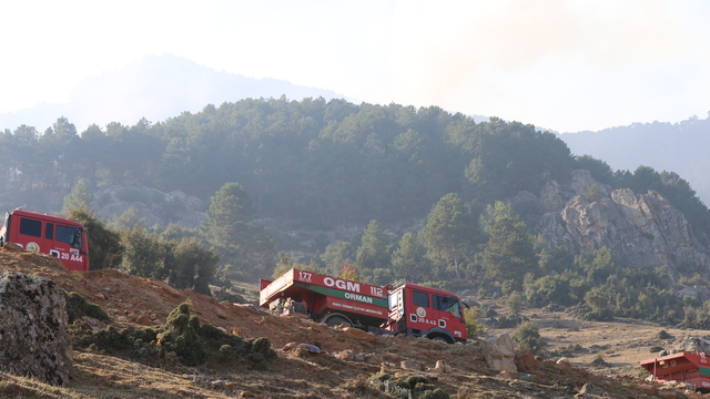 Denizli'deki orman yangınına müdahale sürüyor