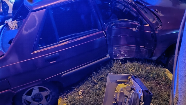 Artvin'deki trafik kazasında 2 kişi yaralandı