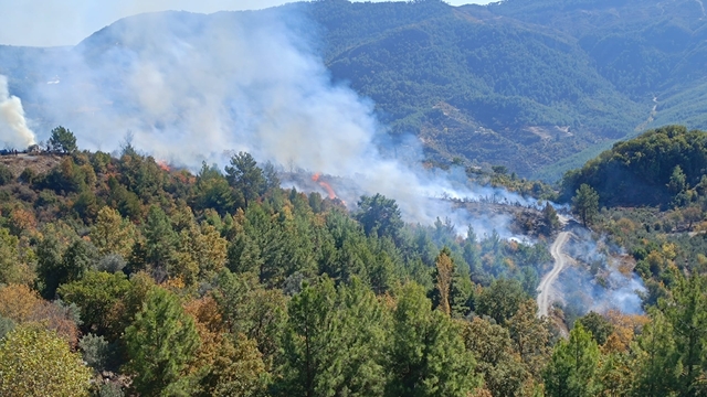 Alanya'da zirai alanda çıkan yangın kontrol altına alındı
