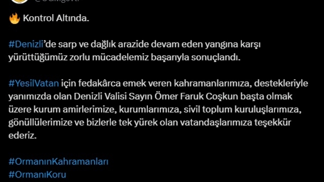 Denizli'deki orman yangını altıncı gününde kontrol altına alındı (2)