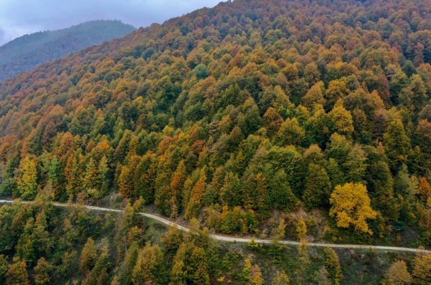 Anadolu Otoyolu'nun Bolu Dağı kesimi sonbahar renkleri arasında yolculuk imkanı sunuyor