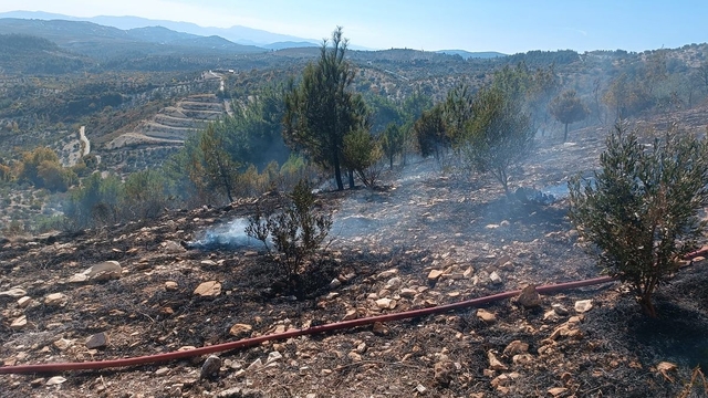 Hatay'da zeytinlik alanda çıkan yangın söndürüldü