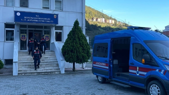 Artvin'de ormanda izinsiz yapılan kesimle ilgili kooperatif başkanı gözaltına alındı