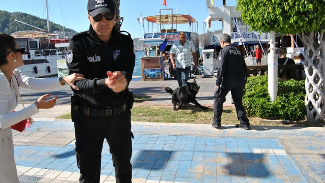 Kurt köpeğinin polislere saldırması kamerada