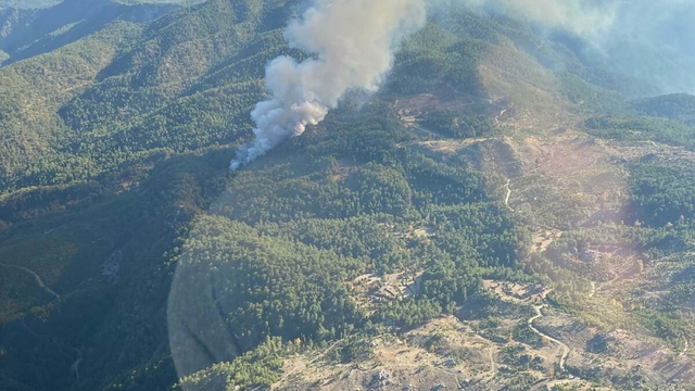 Muğla'da orman yangını