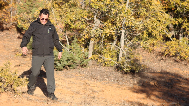 Saimbeyli'de ormanlık alan doğa turizmine kazandırılacak