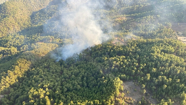 Muğla'da orman yangını (2)