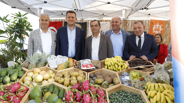 Alanya Tropikal Meyve Festivali başladı