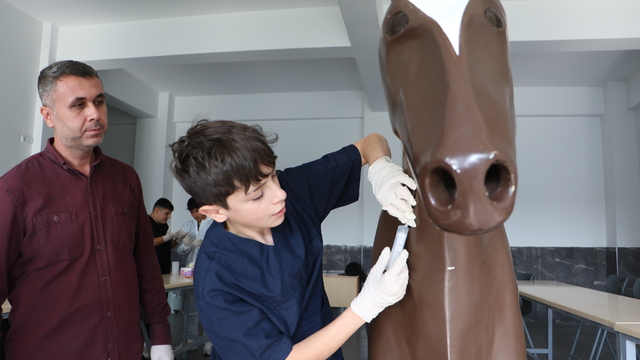 Liseliler maket modeller ile hayvan sağlığını öğreniyor