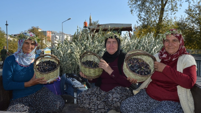 Manavgat Zeytin ve Zeytinyağı Festivali başladı