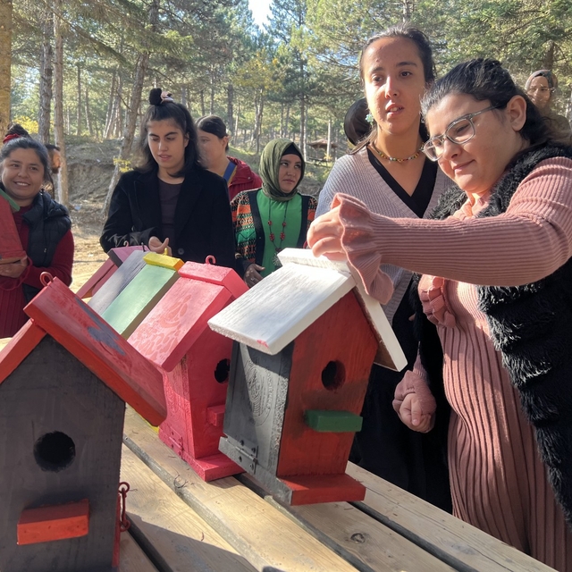 Çorum'da engelli öğrencilerin boyadığı kuş evleri tabiat parkına yerleştiri...