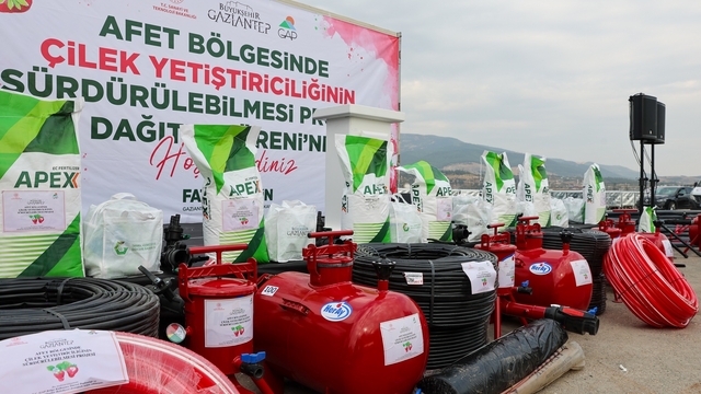 Depremlerden etkilenen Nurdağı ve İslahiye'de 200 çiftçiye çilek üretimi için destek verildi