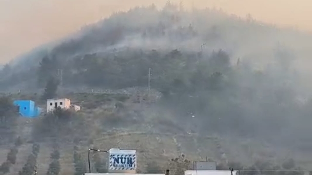 Hatay'da orman yangını (2)