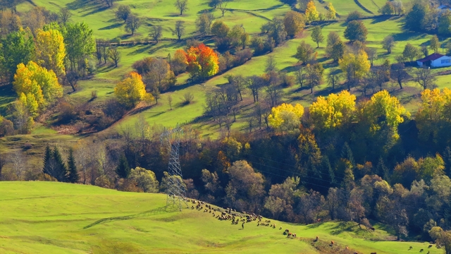 Artvin'de 4. Geleneksel Foto Jeep Safari etkinliği düzenlendi