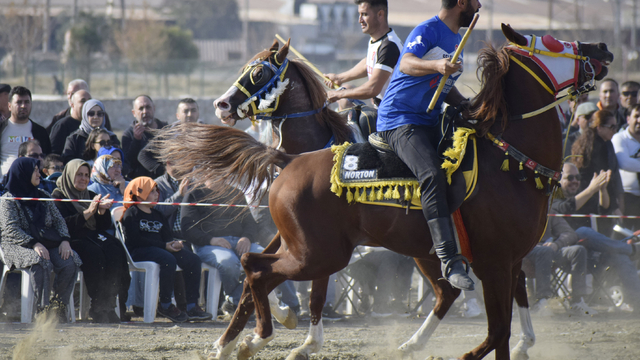 Manisa'da cirit heyecanı yaşandı