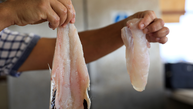 Mezgitin kilosu 750 lirayı buldu; yarı fiyatına 'zehir' uyarısı