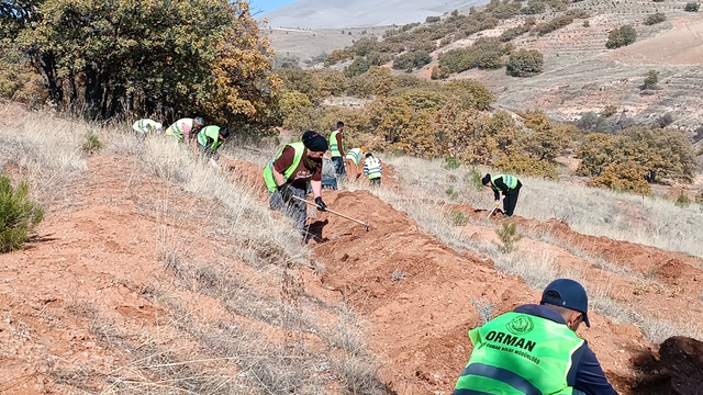 Özvatan'da Bal Ormanı Projesi hayata geçiriliyor