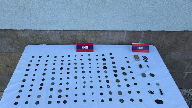 Aydın'da tarihi eser kaçakçılığı yaptığı öne sürülen kişi yakalandı