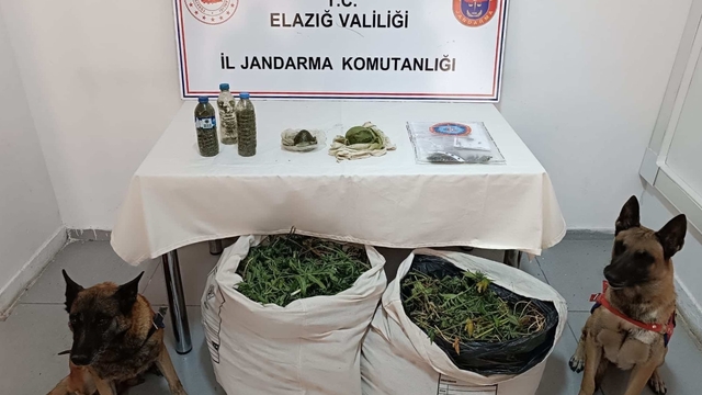 Diyarbakır'da 11 kilo 200 gram esrar ele geçirildi