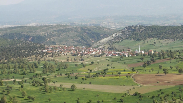 Galeri