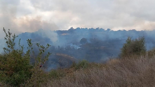 Çanakkale'de çıkan orman yangınına müdahale ediliyor