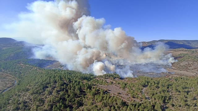 Bursa'nın 2 ilçesinde orman yangını