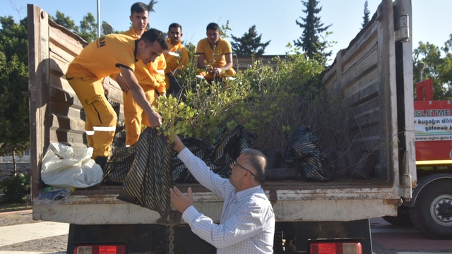 Mersin Bozyazı'da vatandaşlara fidan dağıtıldı