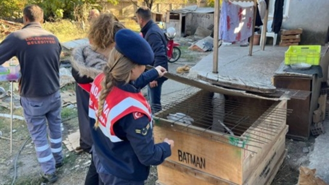Kırklareli'nde yasaklı ırk köpek besleyen kişiye 317 bin 544 lira ceza kesildi