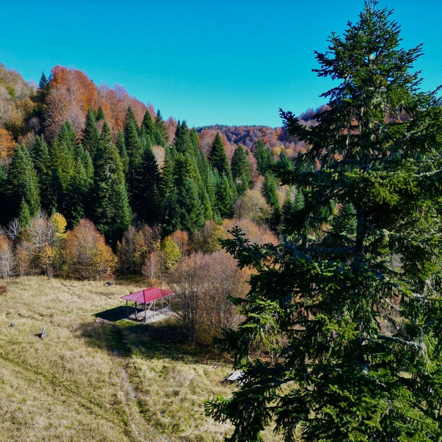 Küre Dağları Milli Parkı'nda sonbahar güzelliği