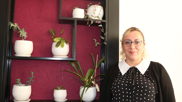 Ofis ortamındaki canlı bitkilerin, stres ve kaygı seviyesini düşürdüğü tespit edildi