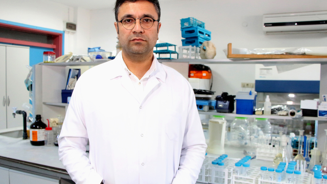 26 kadavra üzerinde mikroplastik araştırması; kan dolaşımı ile vücuda yayılıyor