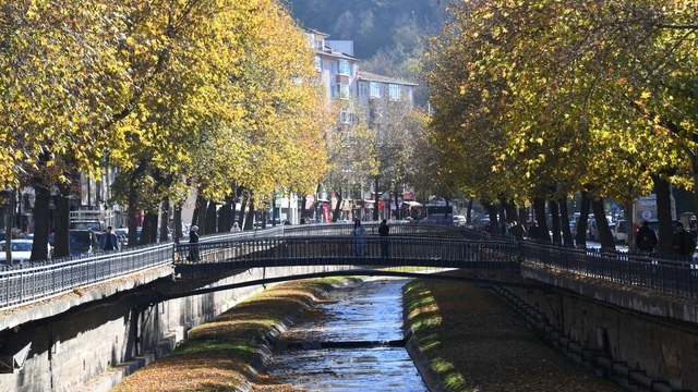 Galeri
