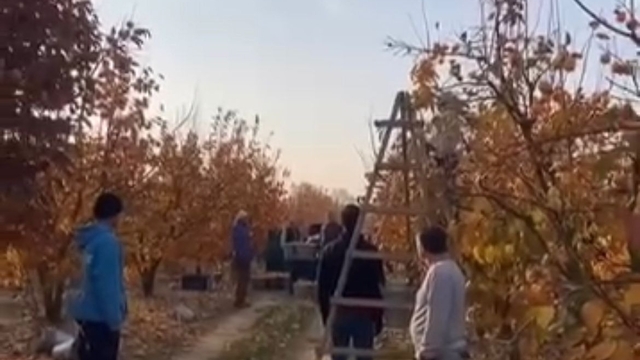 Ulu Önder Bursa'da anıldı; mevsimlik işçiler tarlada saygı duruşunda bulundu