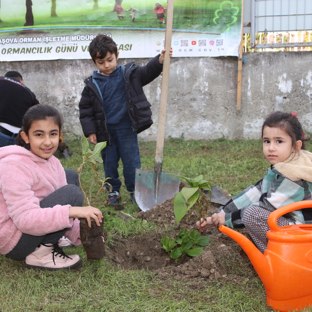 Taşova ve Hamamözü'nde Milli Ağaçlandırma Günü'nde fidan dikildi