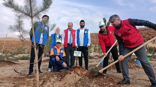 Diyarbakır, Bingöl, Şırnak ve Siirt'te fidanlar toprakla buluşturuldu