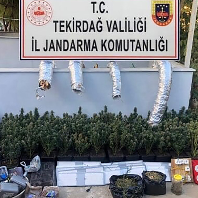 Evinde kurduğu düzenekle skunk bitkisi yetiştiren şüpheli yakalandı